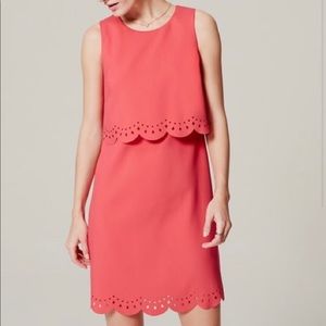 Loft Laser Cut Floral Overlay Dress